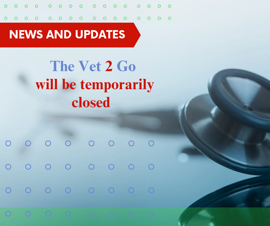 NEWS and UPDATES
