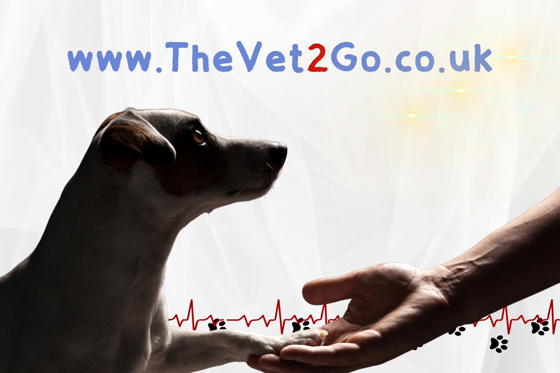 Downloadable Documents, AHC Application Forms and Pet Bereavement Resources