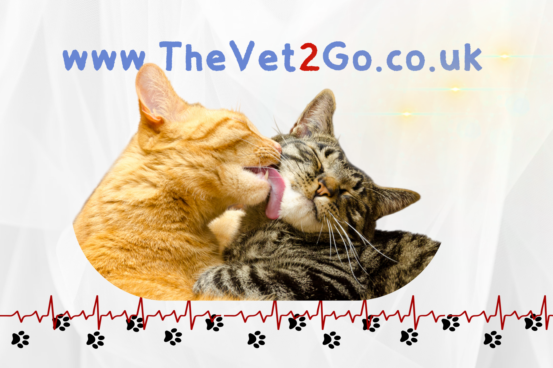 The Vet 2 Go