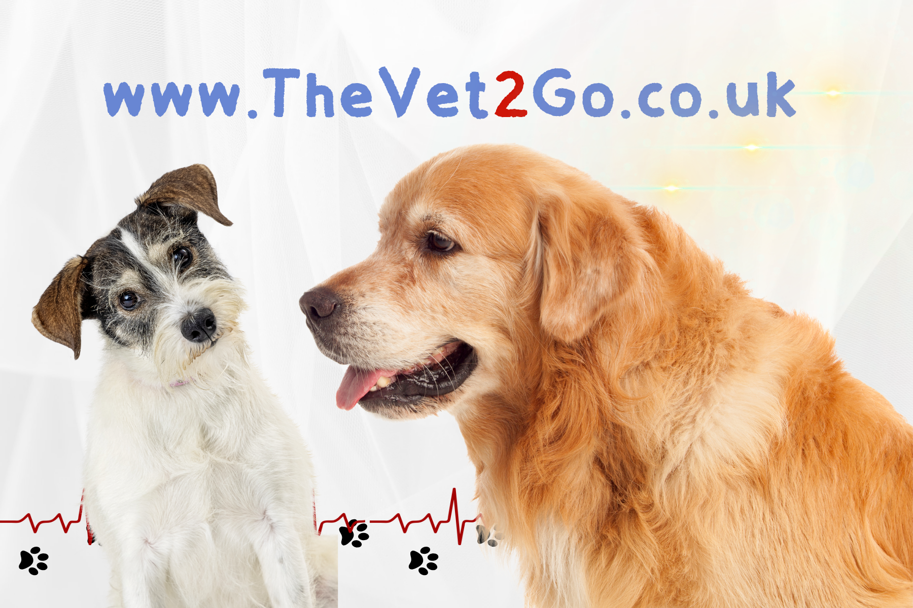 The Vet 2 Go
