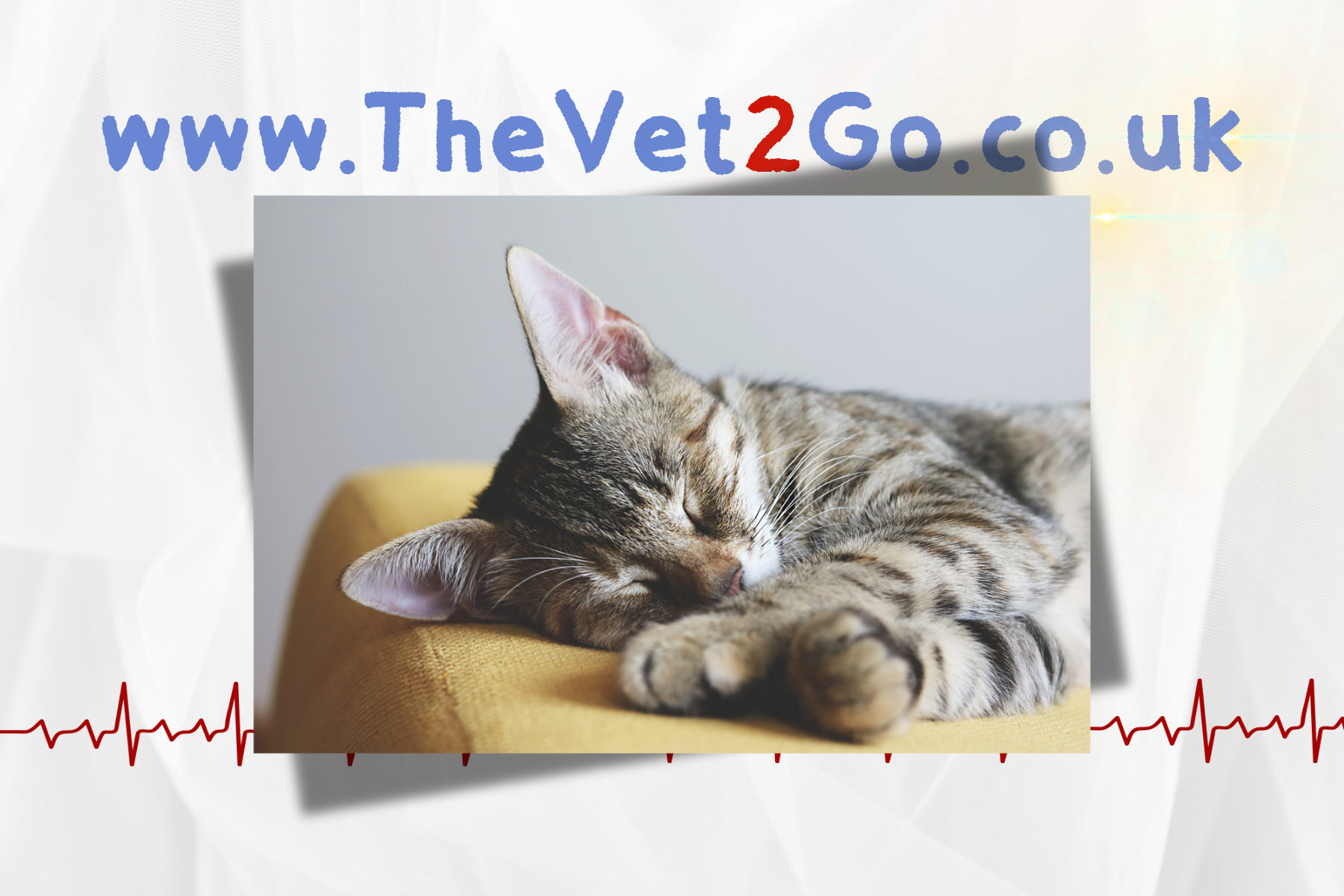 The Vet 2 Go